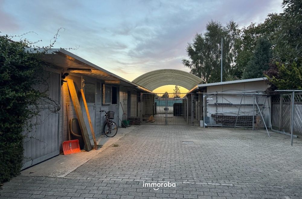 Vastgoedfoto van onroerend goed 8843005, TE HUUR: 5 paardenboxen en uitloopweide (500m²) te Bavikhove
